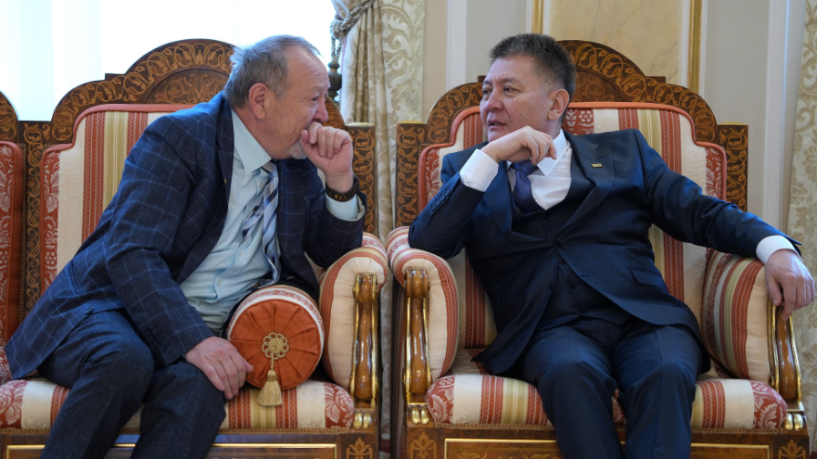 Мәдениет қайраткерлері Ақордада: Макпал Жүнісованың алғашқы сапары және мемлекеттік марапаттар