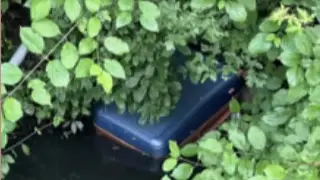 Германияда қаза тапқан экс-судья Айгүл Сайлыбаеваның өлімі: Туыстары қанды қырғынның мән-жайын баяндады